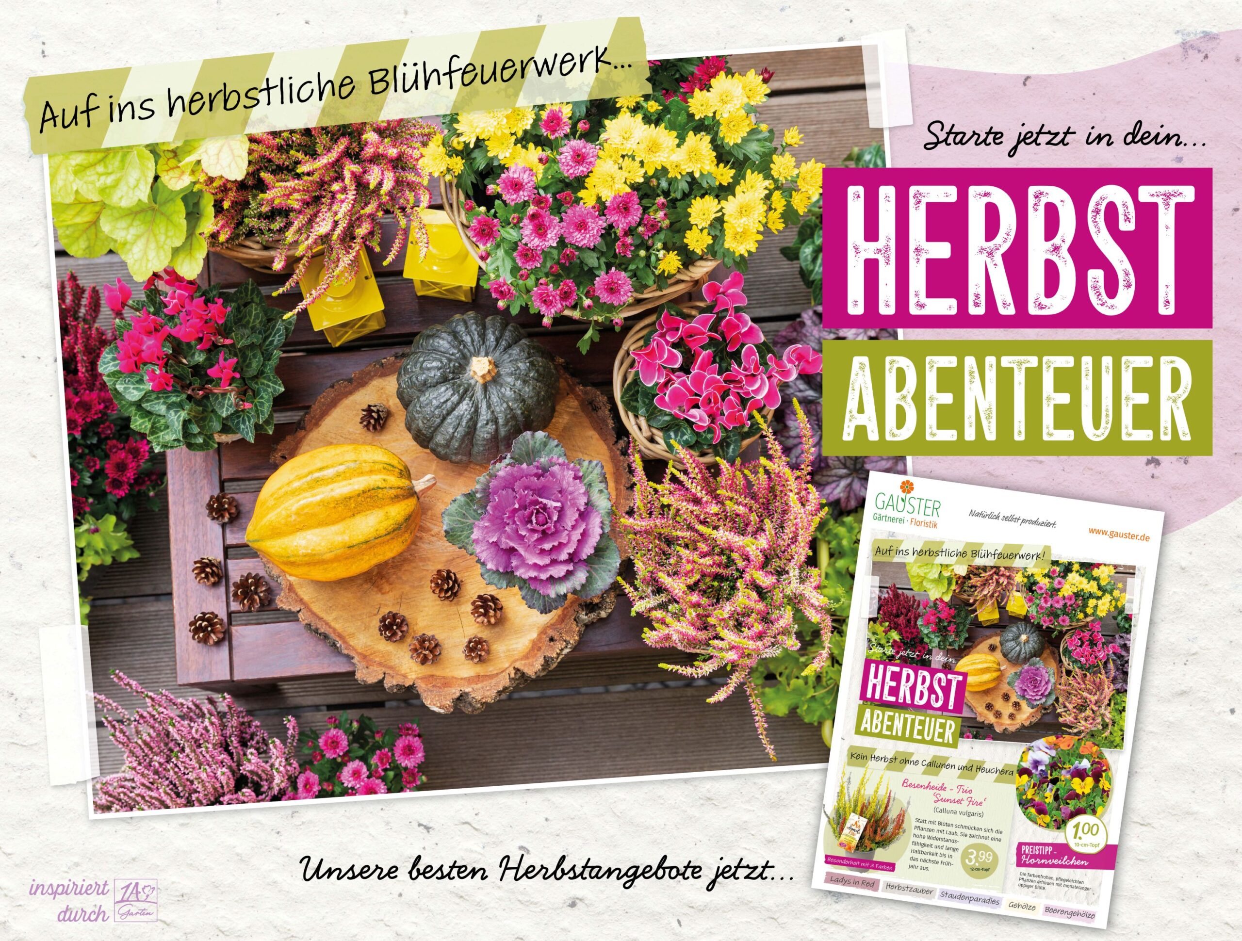 2025_banner_herbst_website2